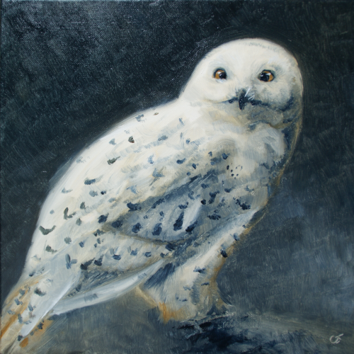 Éclaireur (Harfang des neiges), 2025, huile sur toile, 30 x 30 cm. Disponible.