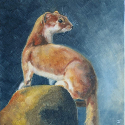 Vaillance (Hermine), 2025, huile sur toile, H. 30 x L. 30 cm. Disponible.