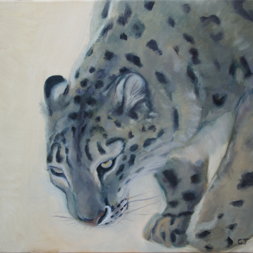 Méfiance (Panthère des neiges), 2025, huile sur toile, 30 x 30 cm. Disponible.