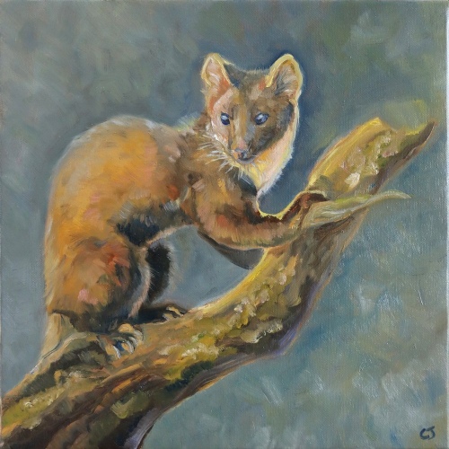 2026-martre-des-pins-reduit